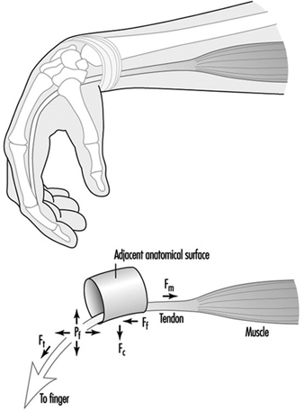 MUS040F1