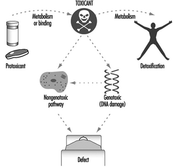 TOX050F6