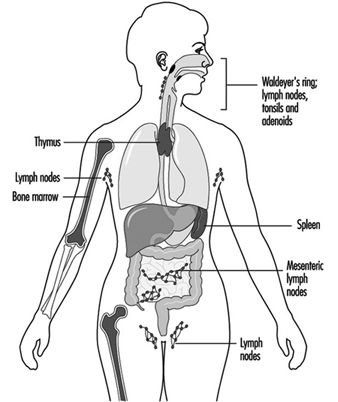 TOX110F1